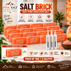 Himalayan Pink Salt Wall Bricks – 8 × 4 × 2 in, Pack of 100 with 3 Adhesives