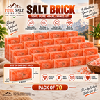 Himalayan Pink Salt Wall Bricks – 8 × 4 × 2 in, Pack of 70