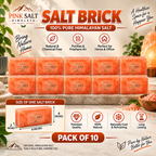 Himalayan Pink Salt Wall Bricks – 8 × 4 × 2 in, Pack of 10