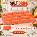 Himalayan Pink Salt Wall Bricks – 8 × 4 × 2 in, Pack of 500
