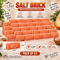 Himalayan Pink Salt Wall Bricks – 8 × 4 × 2 in, Pack of 50