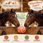 Himalayan Salt Lick Block for Horses & Livestock – Single 4 lb