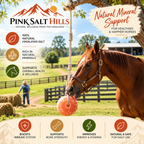 Himalayan Salt Lick Block for Horses & Livestock – Single 4 lb