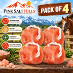 Himalayan Salt Lick Blocks for Horses & Livestock – Pack of 4 (4 lb each)